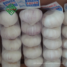 china wholesale high quality fresh white garlic